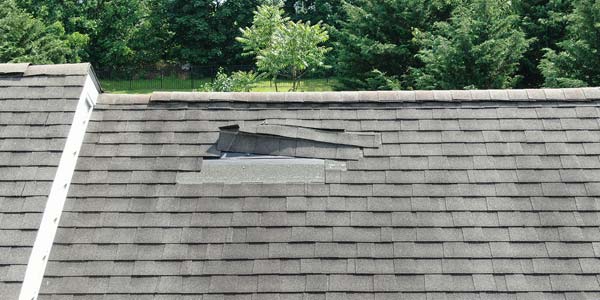 Missing Shingles
