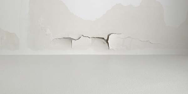 Roof Leaks
